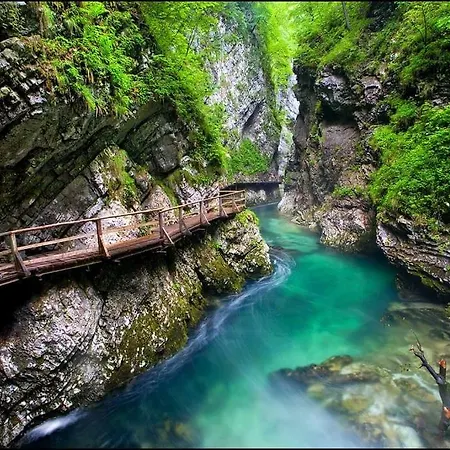 Hanna's With Free Parking Lublana